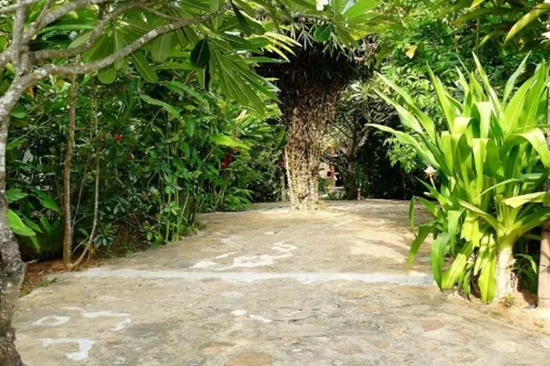 Mealea Resort