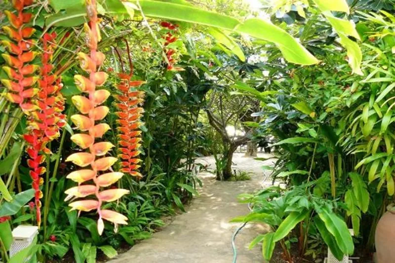 Mealea Resort